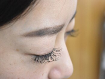 アンジェリ(Angeli)/フラット120本