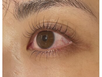 リシェル 町田(Richelle)/ラッシュリフトカール上下