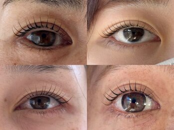 プライベートサロン ラウレア(Laule'a)の写真/【新規☆まつ毛×眉毛クーポンもご用意あり◎】第一印象を決める目元。オトナになった今こそこだわりを☆