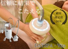 デイスパ ヴィータ