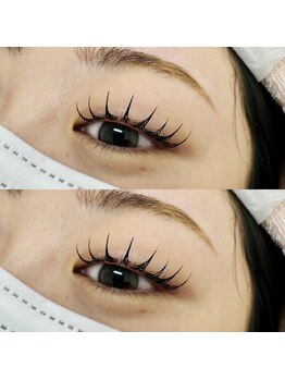 シーシーガーデン(CeCe Garden)/フラットラッシュ