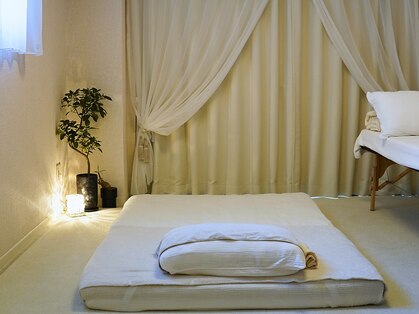 パーム 調布(palm)の写真