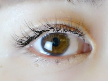 ディシェーレノーテ アイラッシュ(die Schere Note EyeLash)/セーブル120本