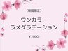 【期間限定】オフなし　ワンカラーorラメグラデーション　¥2800