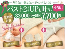 美人バスト 犬山店