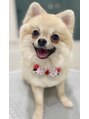 オトア(O'toa) 愛犬のとあです☆名前をもらって当店をオトアと名付けました◎
