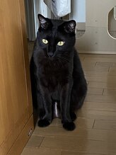 タジマ カイロプラクティック/チャックが見える