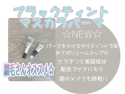 ナヴォラ(navor)の写真