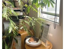 サプナジー(Suppnrgy)/完全プライベートサロン