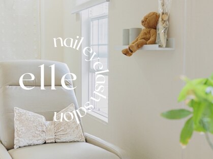 エル(elle)の写真