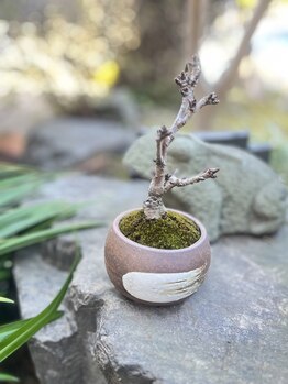 マシュマロハンド/肩こり/冷え/むくみ改善