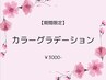 【期間限定】カラーグラデーション　¥3000
