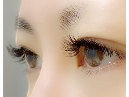 サッシー(SASSY)の写真