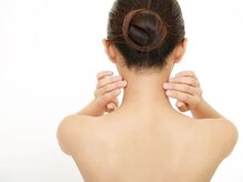 ビープラス(B plus)