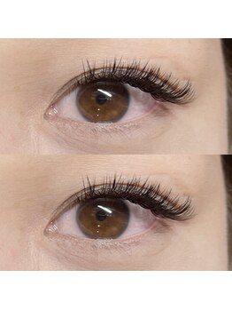 グラッディ(Glady)/バインドロック140束