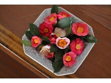 花風空月/季節の花