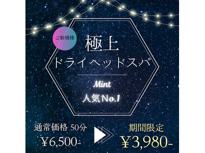 ミント(Mint)の写真
