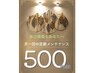 月一回の定期メンテナンス割 全メニュー500円