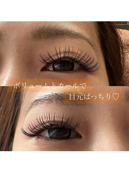 メル アイラッシュ(mer eyelash)/5Dボリュームラッシュ120束