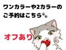 ワンカラー ツーカラー のご予約はこちら