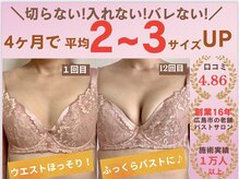 バストサロン メルベイユ(Merveile)