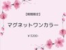 【期間限定】　マグネットワンカラー　¥3200