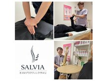 サルヴィア(SALVIA)