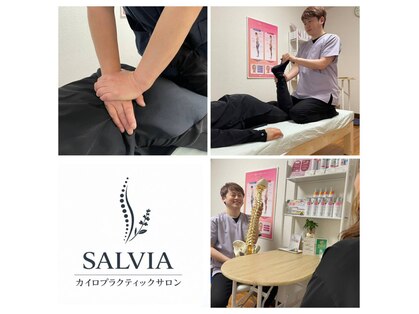 サルヴィア(SALVIA)の写真