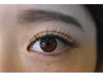 アンジェリ(Angeli)/フラット120本