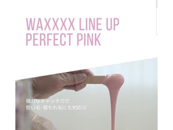 ハルヴィ(HALVI)/ピンクワックス