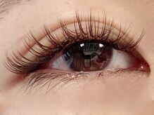 ゼン(Zen)/バインドロック 80束　ブラウン