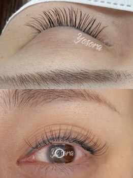 ヨソラ(Yosora)/フラットラッシュ120本