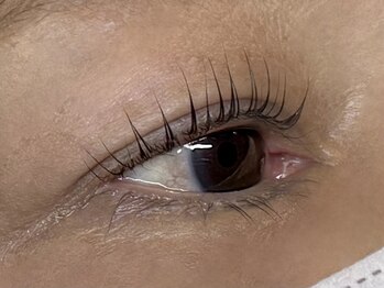 アポロランド ルーナ/まつげパーマ