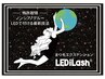 おすすめ★LEDiLash プラス￥1300※こちらはクーポンではありません選択不可