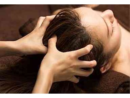 アクシア(AXIA)の写真