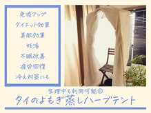ラフィール(Rafeel)の雰囲気（タイのよもぎ蒸しハーブテント。サウナや高温が苦手な方も◎）