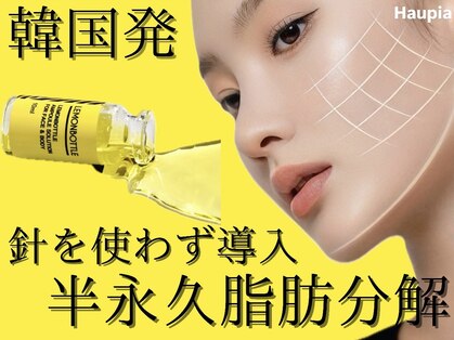 ハウピア 烏丸(Haupia)の写真