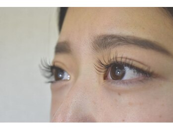 アンジェリ(Angeli)/フラット120本