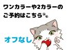 ワンカラー ツーカラー のご予約はこちら