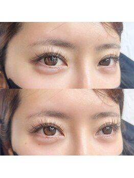 AMK/LEDフラットラッシュ