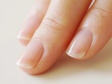 プリナチュール 大宮店