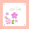 スプリング 柏店(spring)ロゴ