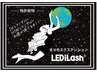 【LEDマツエク】LEDグルーに変更¥550【初回の方限定】