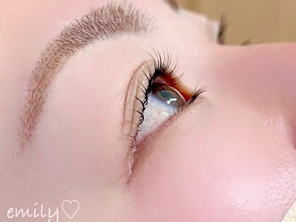 エミリー(emily)の写真