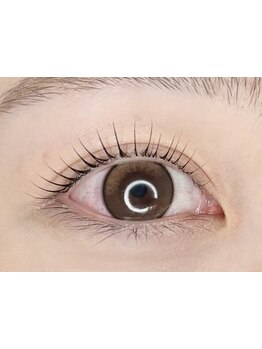 初めての方にオススメ