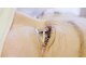 モンレーヴ(MONREVE)の写真
