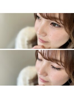 レミア 横須賀中央(REMIA)/ダブルフラット80束