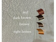 ミイプ(MEPP)/カラーエクステ(セーブル)