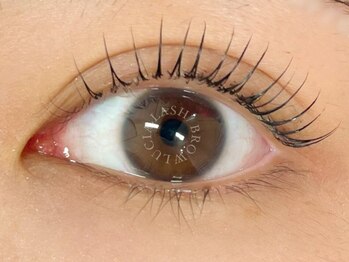 ルシアラッシュブロウ 新宿(LUCIA LASH BROW)/【韓国で話題マスカラパーマ♪】