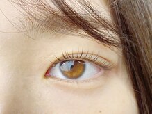 エメ(aimer)/design：デザインラッシュリフト